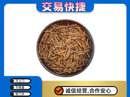 酒泉市阿克塞高价回收散虫草
