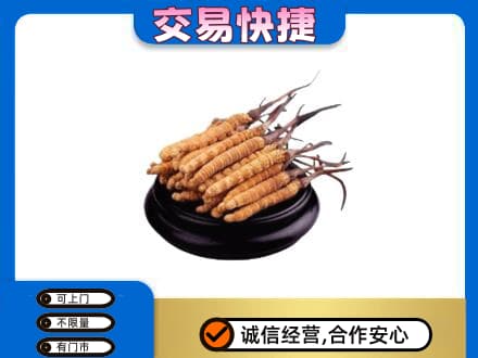 酒泉市阿克塞高价回收冬虫夏草多少钱每克